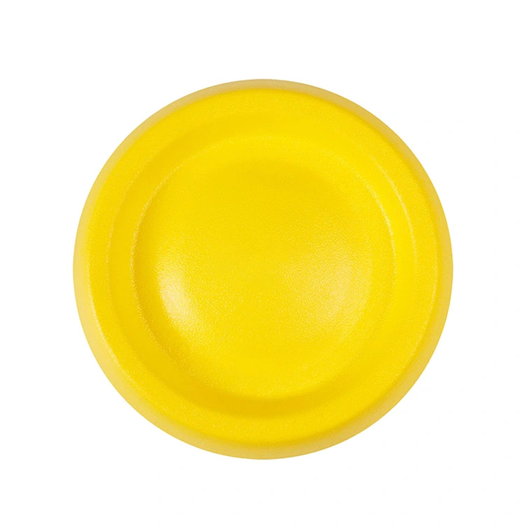 Qu'est-ce qui fait du frisbee EVA Pet le meilleur choix pour un jeu de chien sûr, durable et amusant